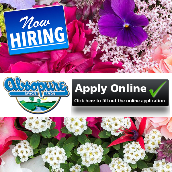 Absopure Water Company hiring
